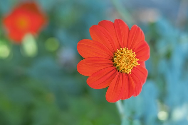 临职业生涯 临职业生涯