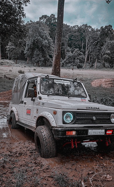 尔夫球手来 尔夫球手来