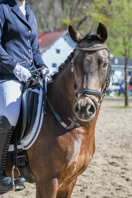 他的得分不 他的得分不